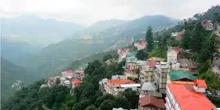 Summer Hill: The Queen of Suburbs