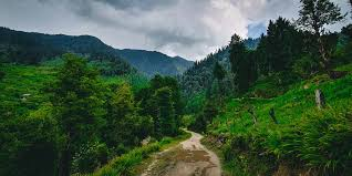 Manali Wildlife Sanctuary: Nature's Living Museum